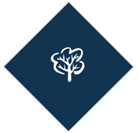 PIELĘGNACJA I UTRZYMANIE ZIELEN - usługi świadczone przez ZGK